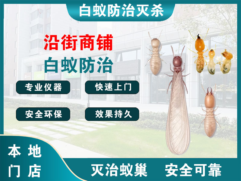 鹿城沿街商铺白蚁防治