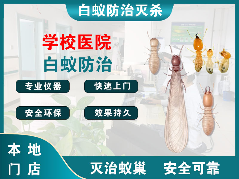鹿城学校医院白蚁防治