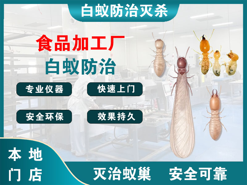 鹿城食品加工厂白蚁防治