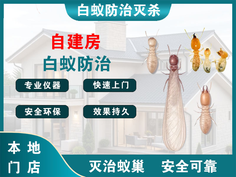 鹿城自建房白蚁防治