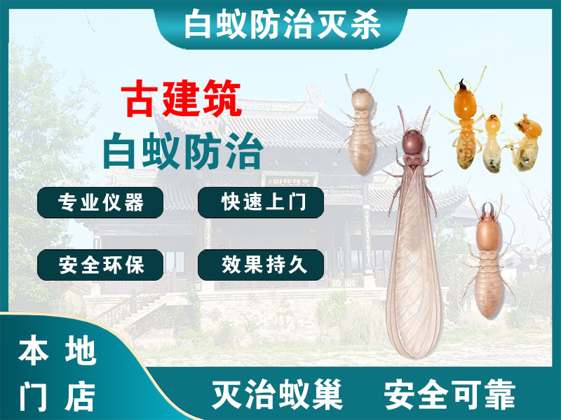 鹿城古建筑白蚁防治