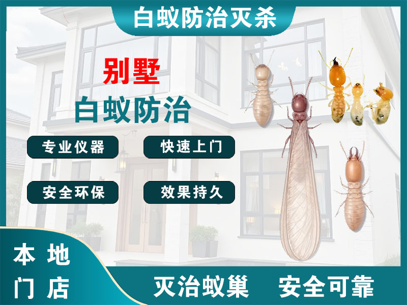 鹿城别墅白蚁防治